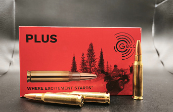 308win geco tm sp plus 11,0g 170gr фото